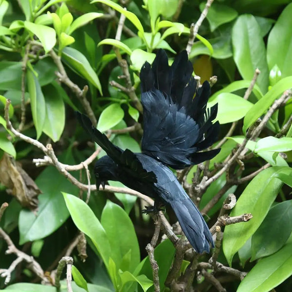 Halloween Decoration Simulation Black Crow Raven Bird Repellent Pest Control Pigeon Repellent Event Party Bar Decoration