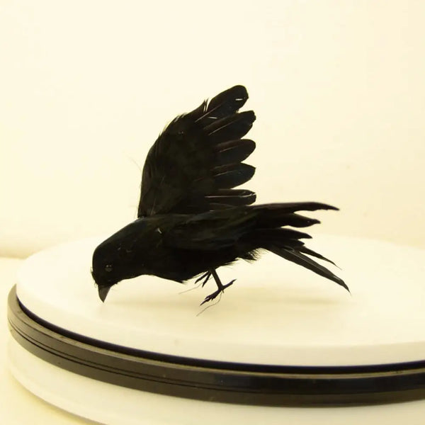 Halloween Decoration Simulation Black Crow Raven Bird Repellent Pest Control Pigeon Repellent Event Party Bar Decoration